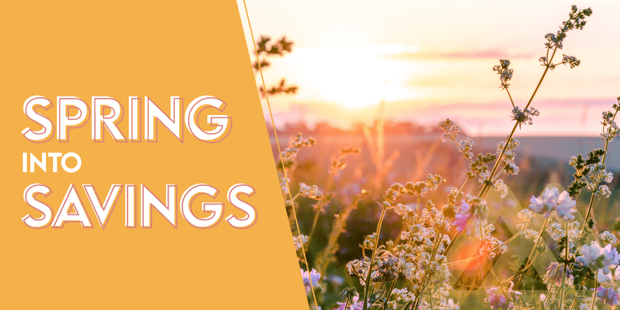 An up close shot of fields of flowers. The words at the left: spring into savings